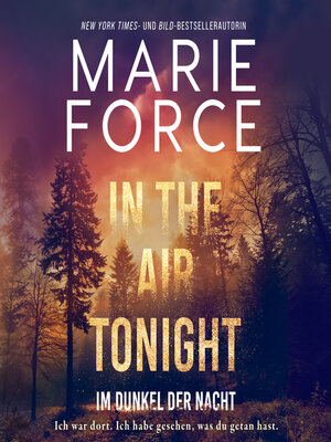 cover image of In the Air tonight – Im Dunkel der Nacht